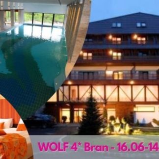 Cel mai bun tarif la Hotel Wolf 2 - conditii excelente! Sejur de 4*, cazare adulti in camera DUBLA standard, cu mic dejun inclus, acces Piscina! Tarif valabil in perioada 16.06-14.09.2024.